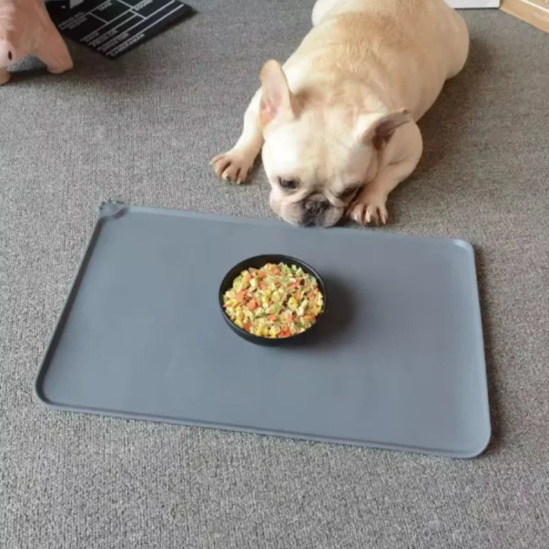 Absorbent Feeding Mat