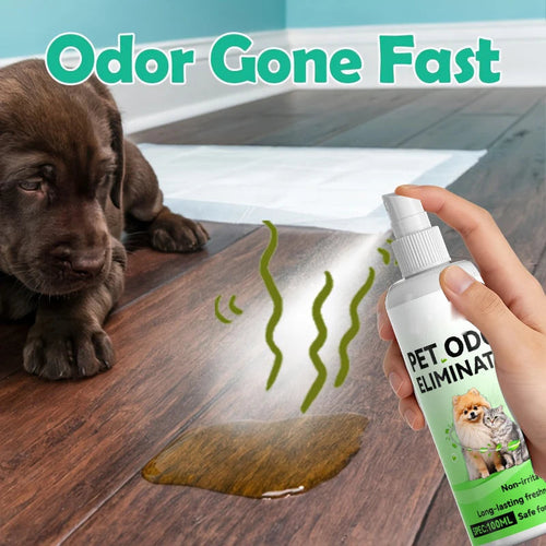 home odor concentrate